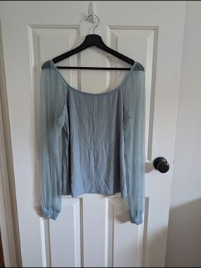 DoRose Women's Light Blue Top with Sheer Dotted Sleeves Size Large